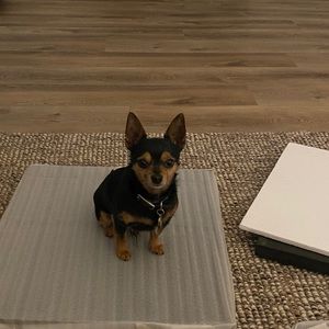 Meet your Posher, Eileen